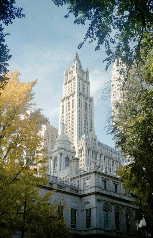 City university tower rising above autumn trees