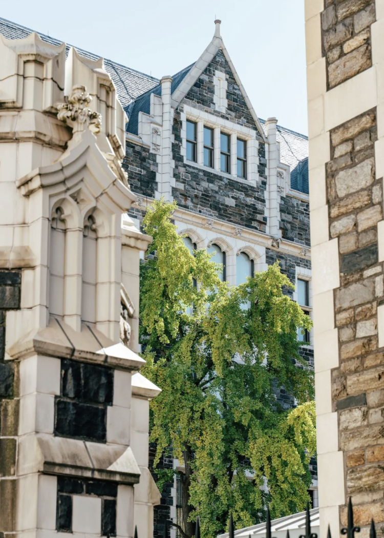 Historic university campus buildings with a tree in front